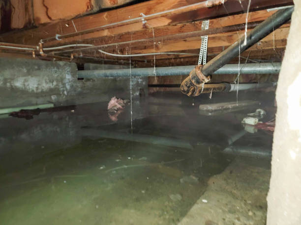Water damage restoration insurance claims in Boone, IA