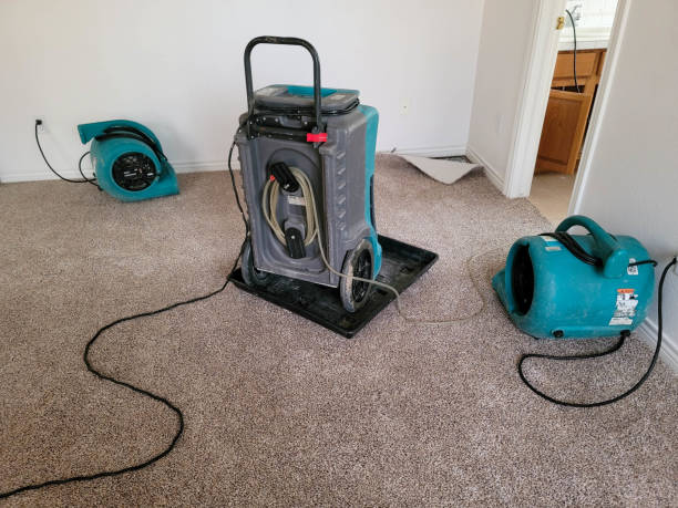 Best Water damage repair service  in Boone, IA