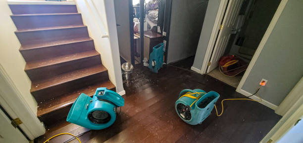 Best Emergency water damage restoration  in Boone, IA