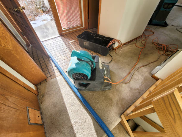 Best Flood damage cleanup  in Boone, IA
