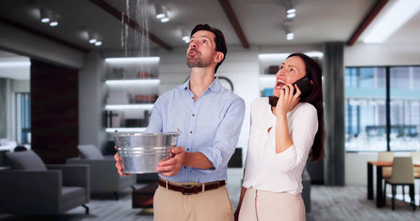 Best Sewage cleanup and water damage restoration  in Boone, IA